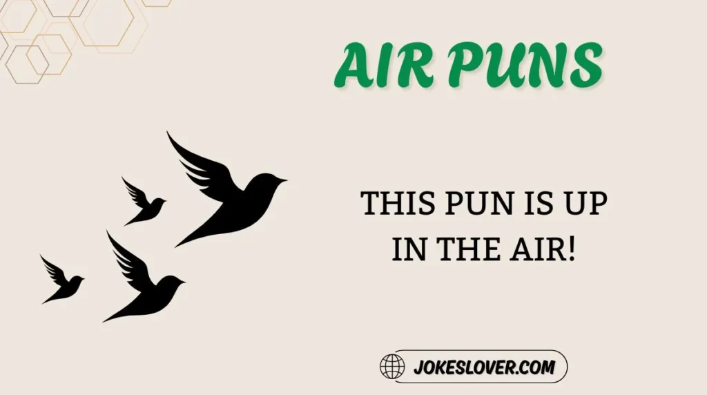 Air Puns