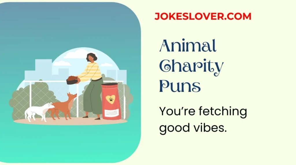 Animal Charity Puns