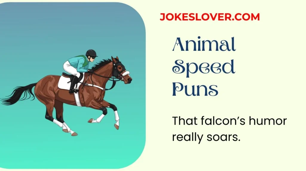Animal Speed Puns