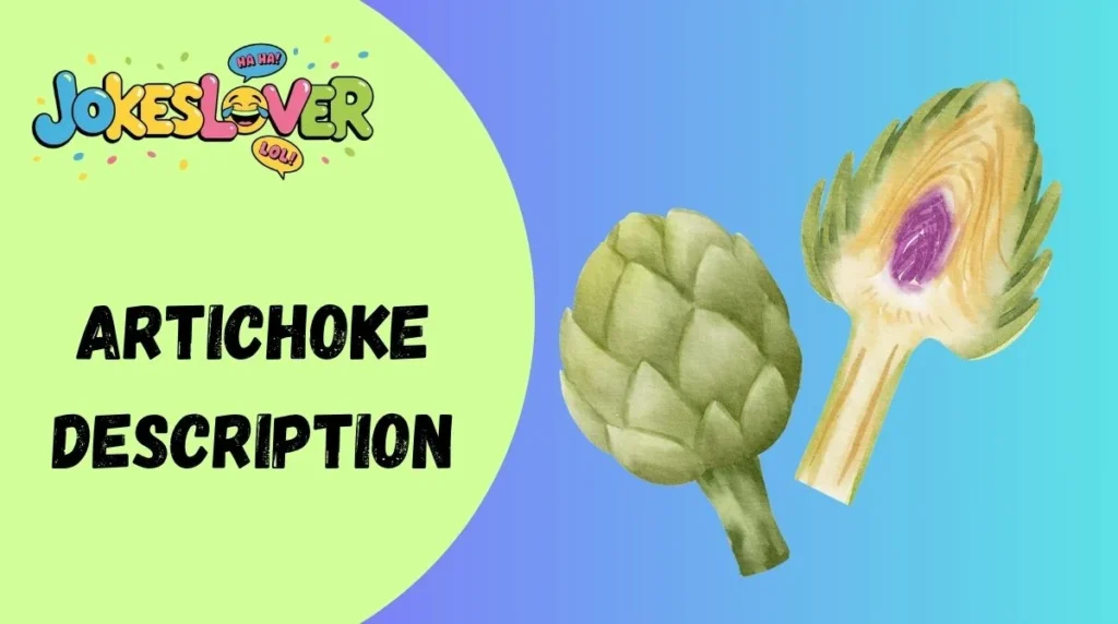 Artichoke Description