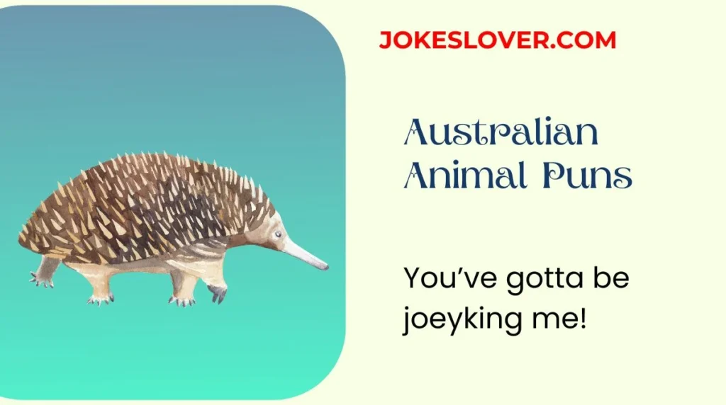 Australian Animal Puns