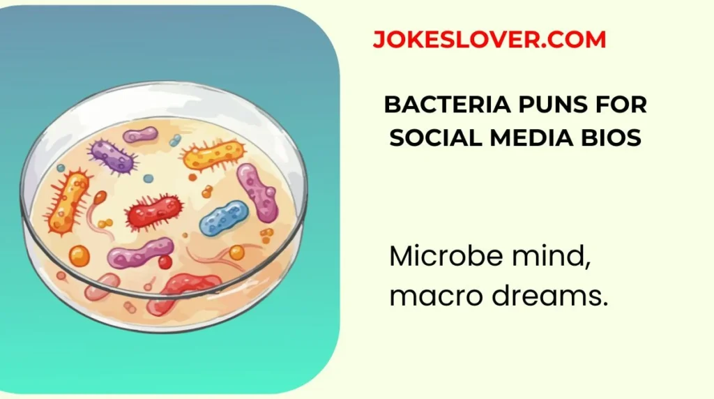 Bacteria Puns for Social Media Bios