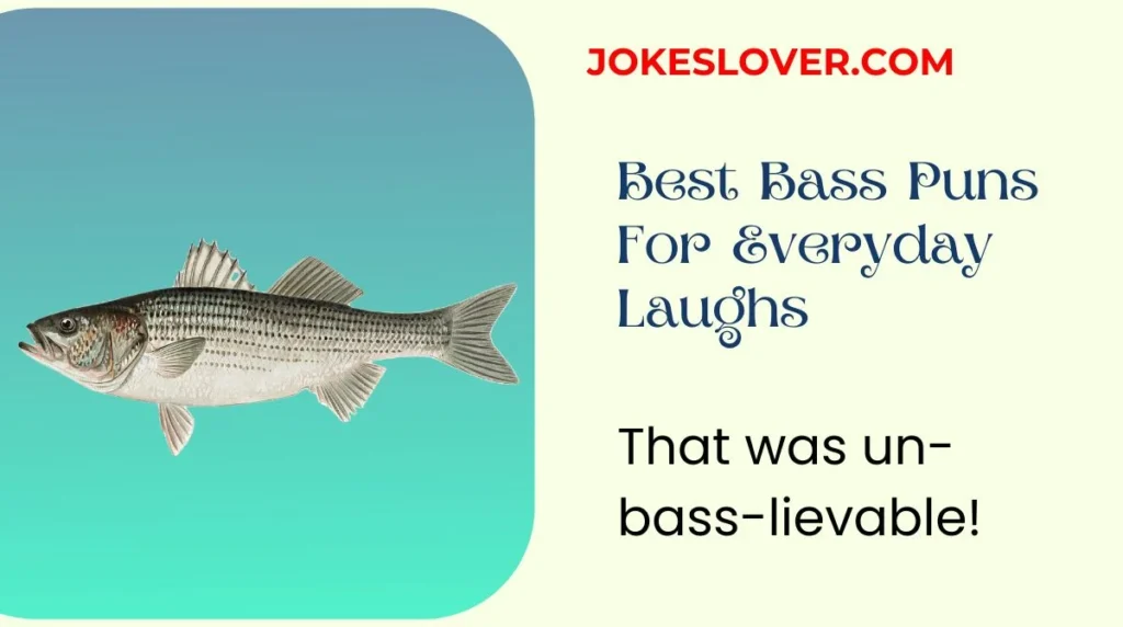 Best Bass Puns For Everyday Laughs