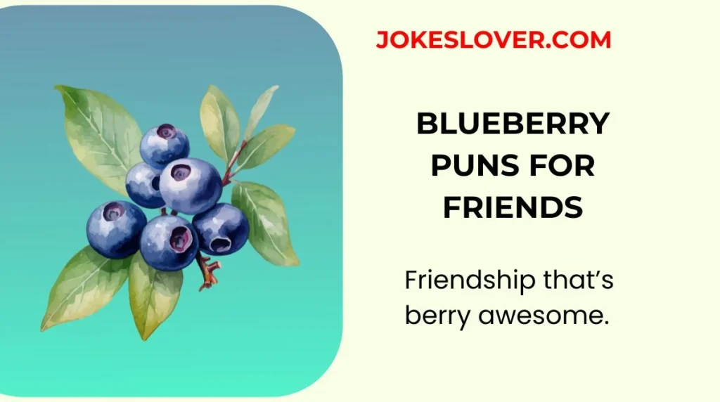 Blueberry Puns for Friends