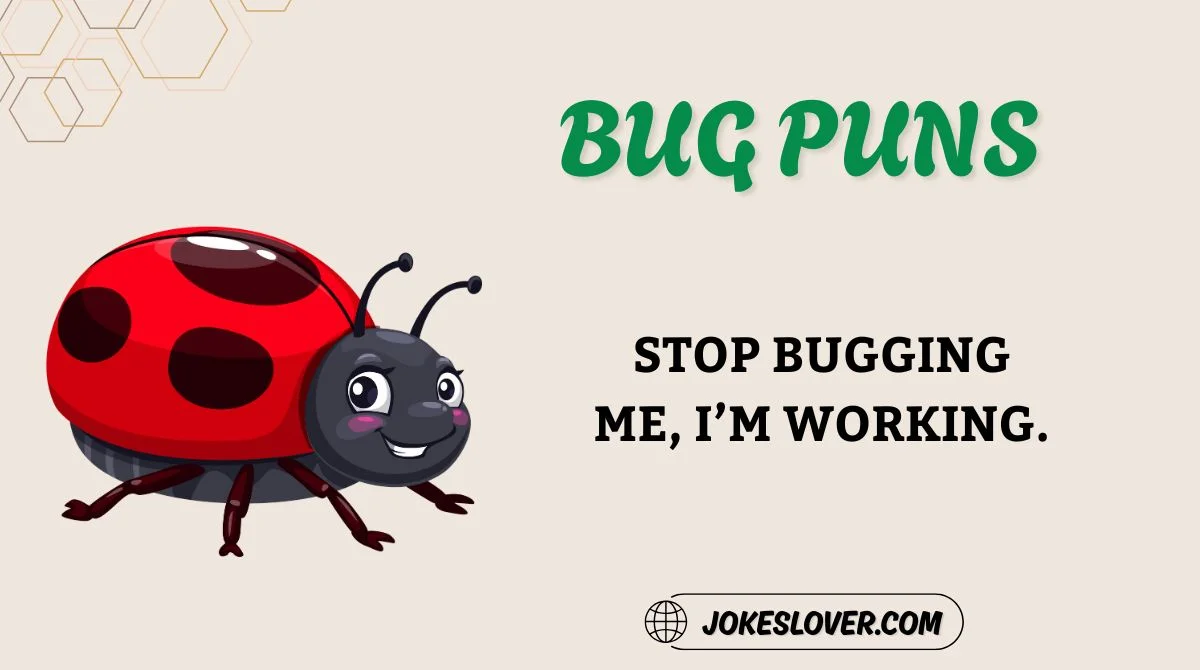 Bug Puns