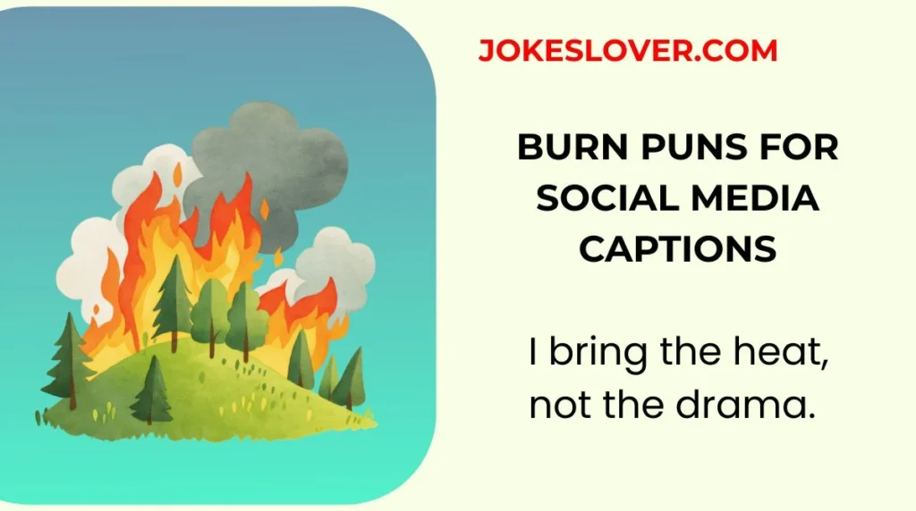 Burn Puns for Social Media Captions