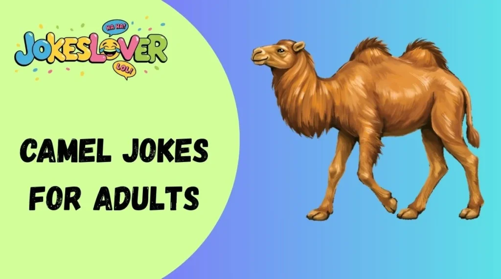 Camel Jokes for Adults