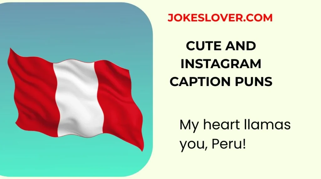 Cute and Instagram Caption Puns