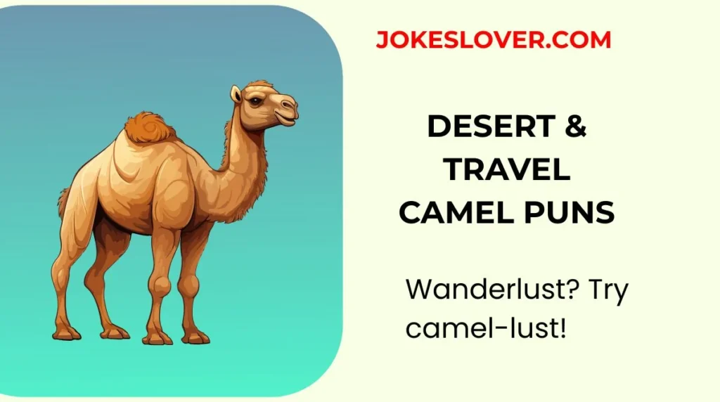 Desert & Travel Camel Puns
