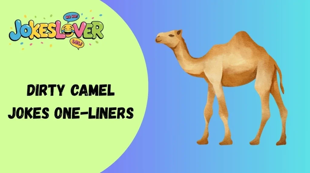 Dirty Camel Jokes One-Liners