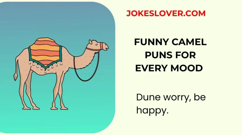 Funny Camel Puns for Every Mood