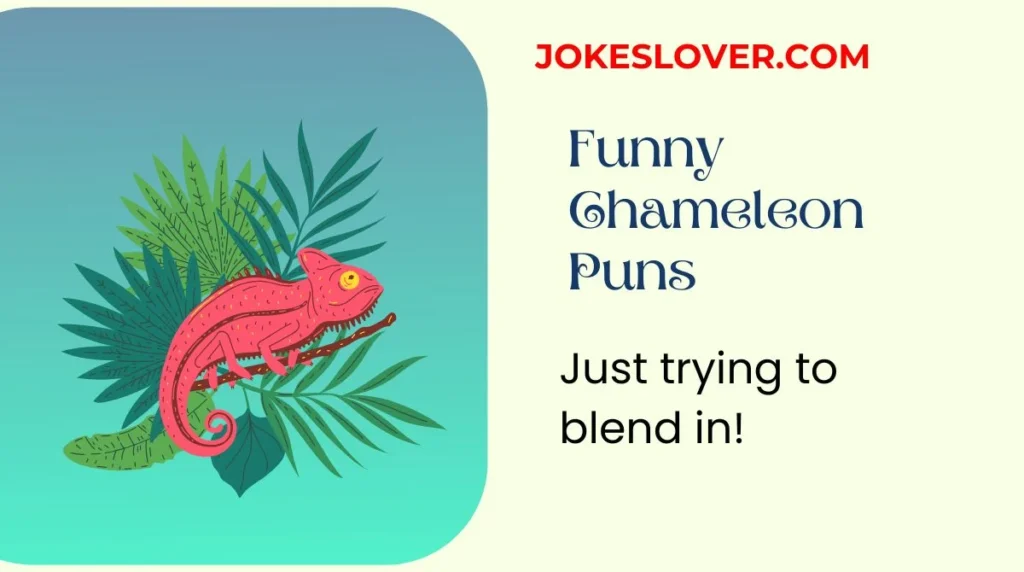 Funny Chameleon Puns