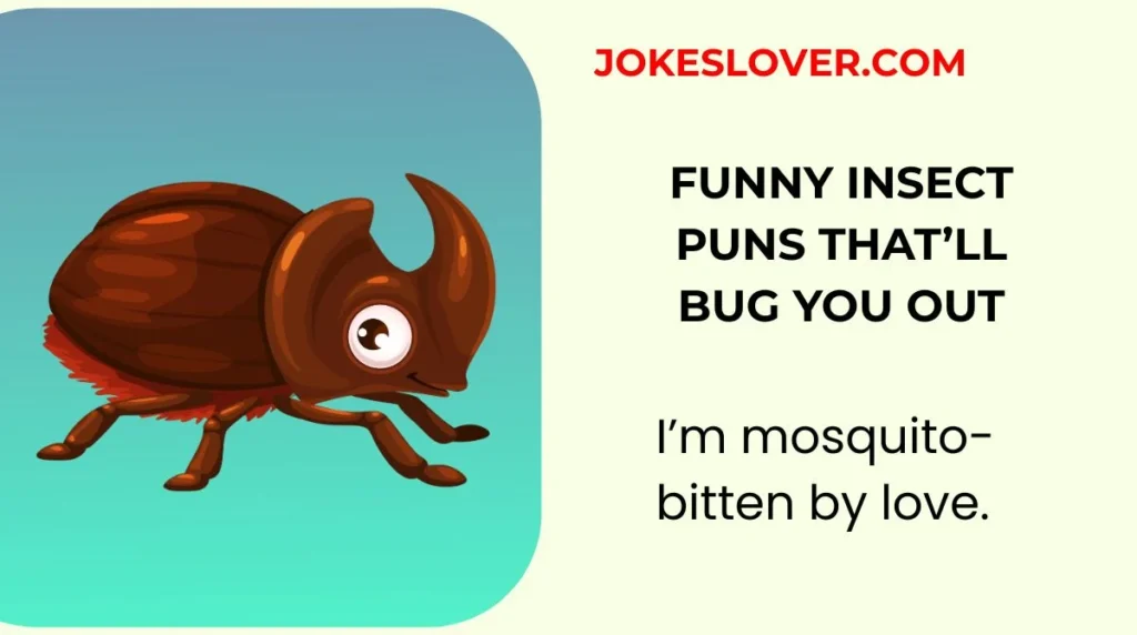 Funny Insect Puns That’ll Bug You Out