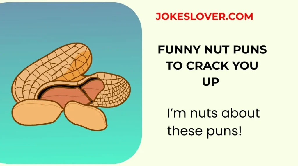 Funny Nut Puns to Crack You Up