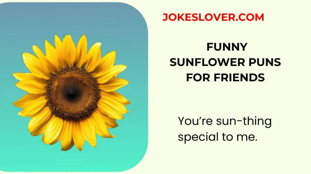 Funny Sunflower Puns for Friends
