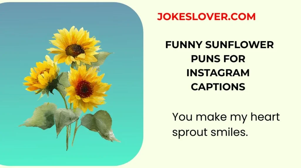 Funny Sunflower Puns for Instagram Captions