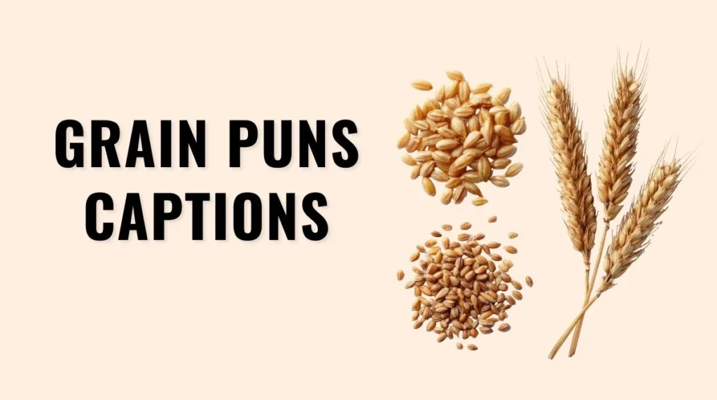 Grain Puns Captions