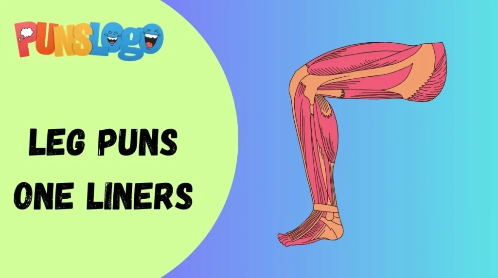 Leg Puns One Liners