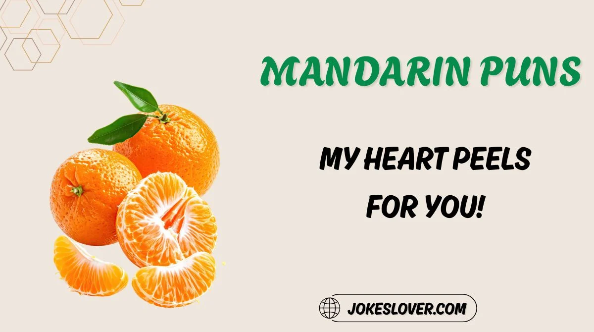 Mandarin Puns