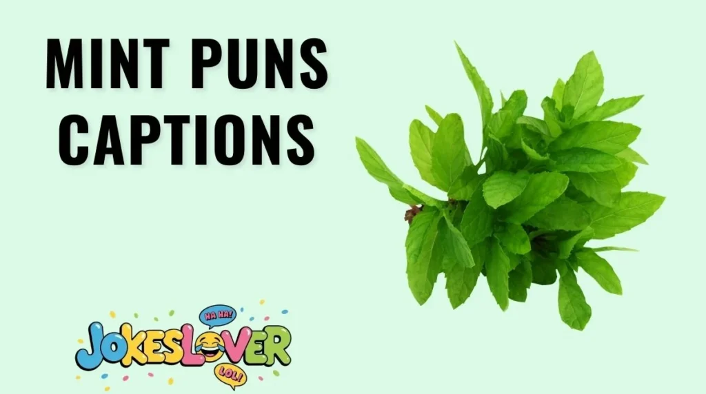 Mint Puns Captions