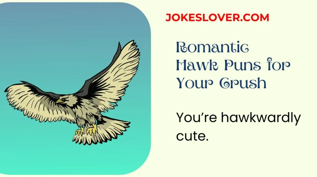 Romantic Hawk Puns for Your Crush