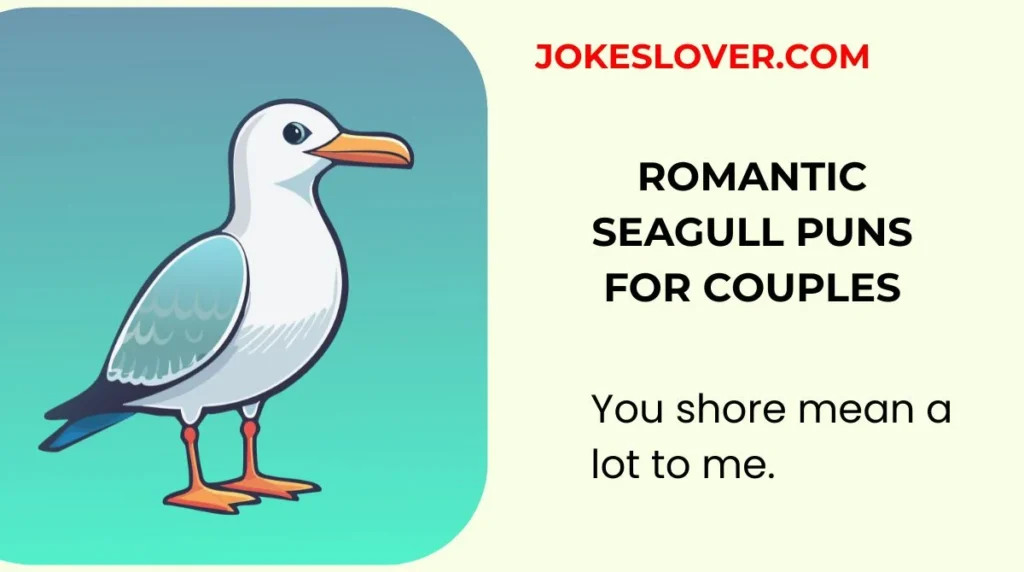 Romantic Seagull Puns for Couples
