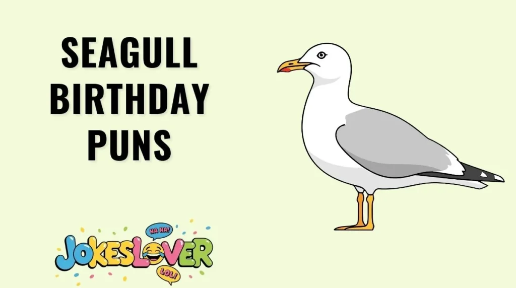 Seagull Birthday Puns
