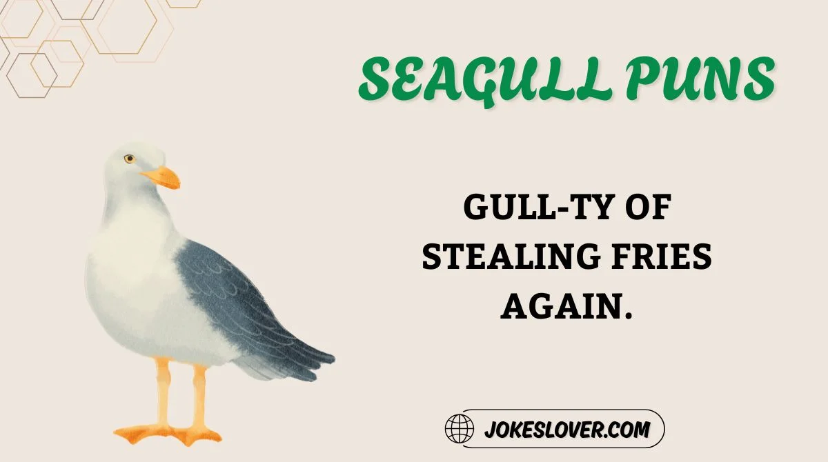 Seagull Puns