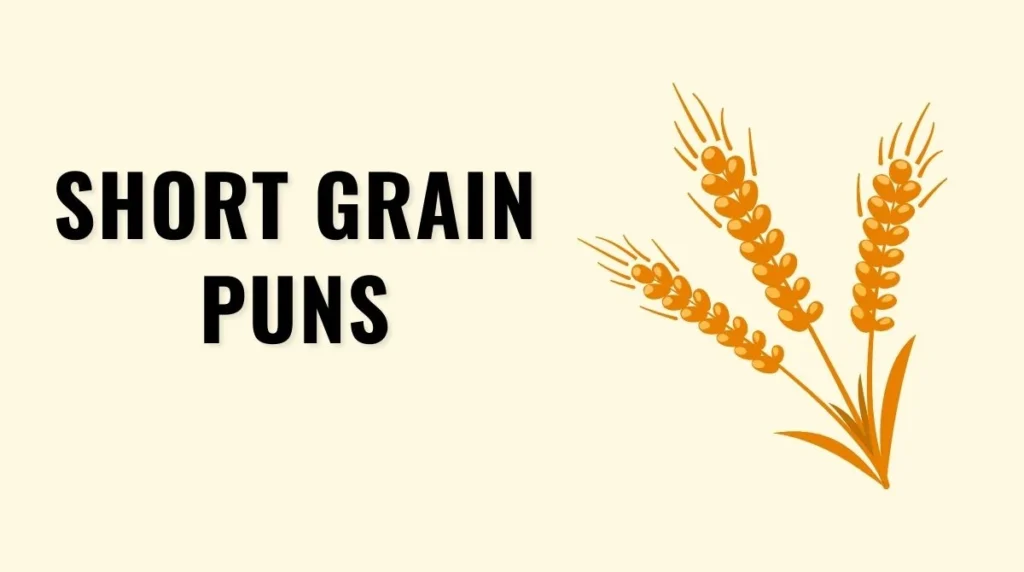 Short Grain Puns