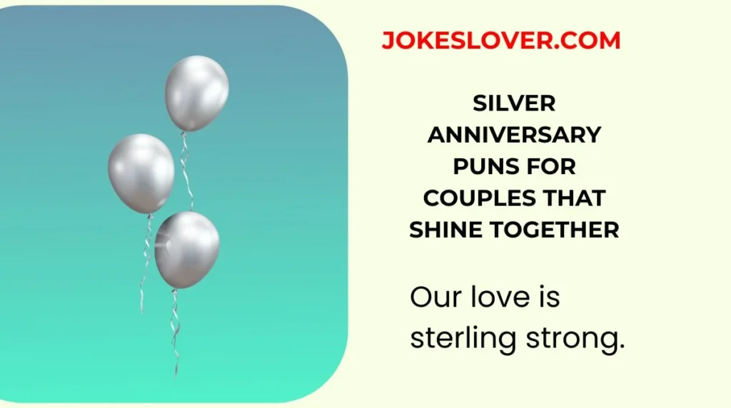 Silver Anniversary Puns for Couples That Shine Together