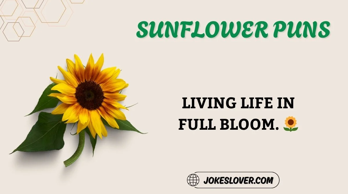 Sunflower Puns