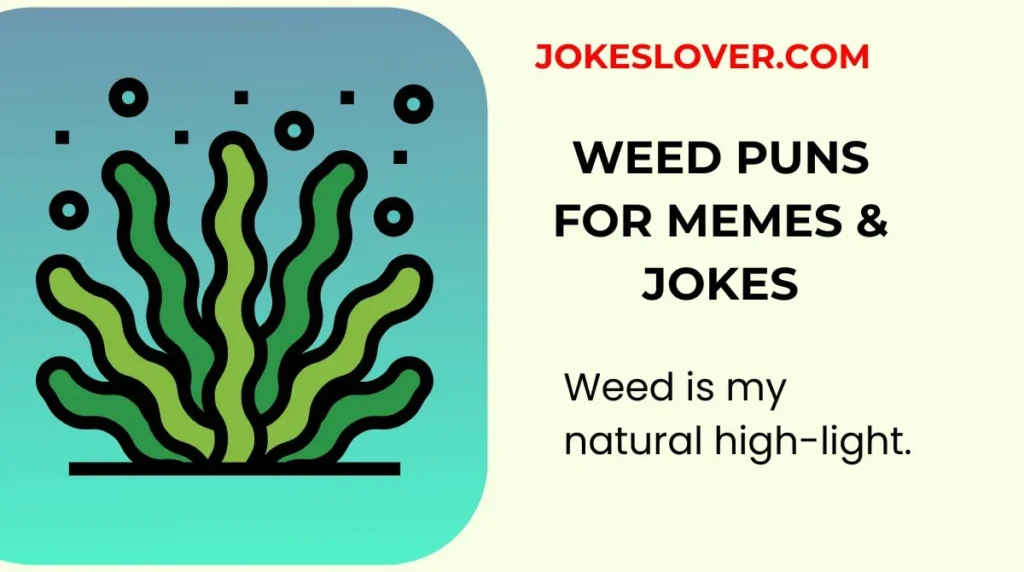 Weed Puns for Memes & Jokes