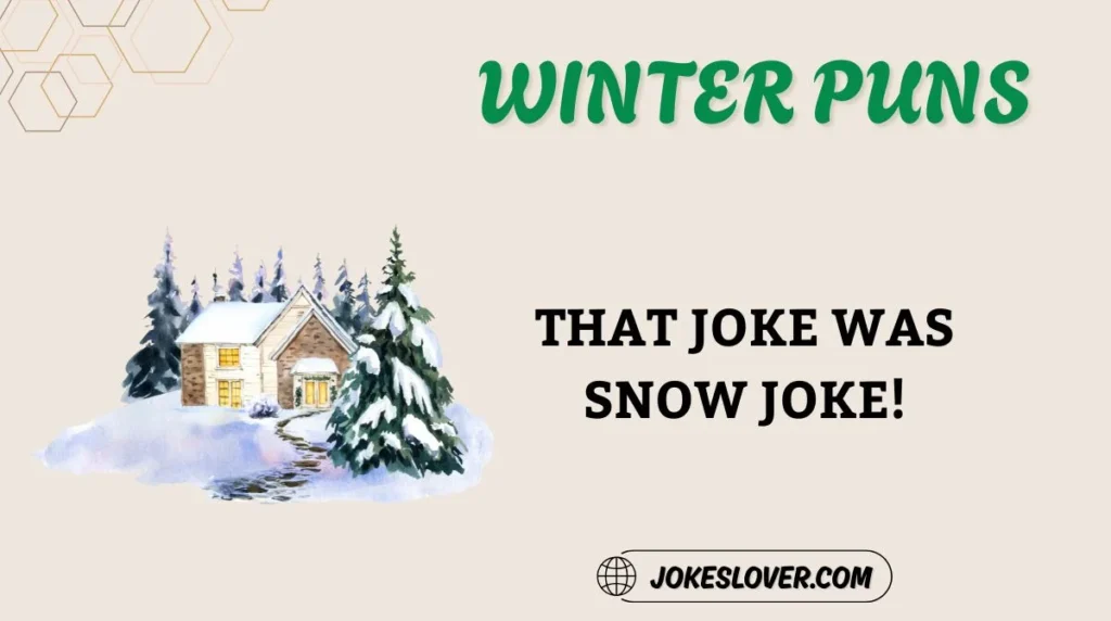 Winter Puns