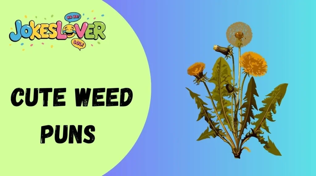 Cute Weed Puns 