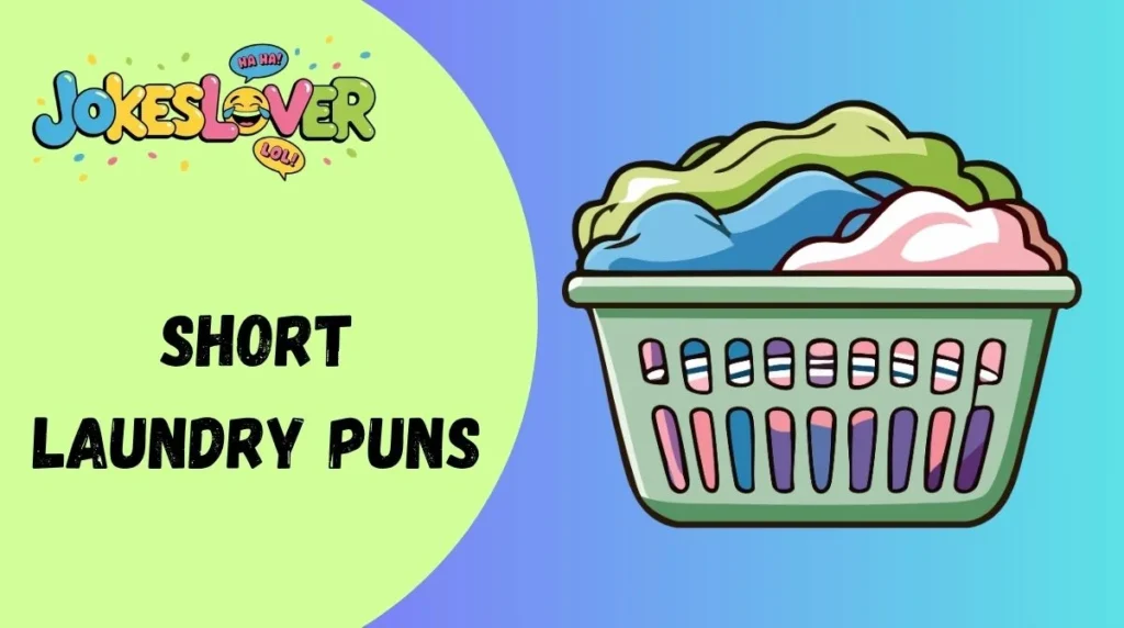 Short Laundry Puns