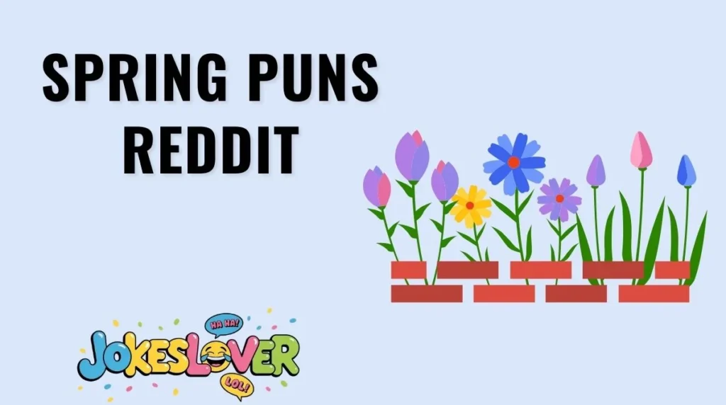 Spring Puns Reddit