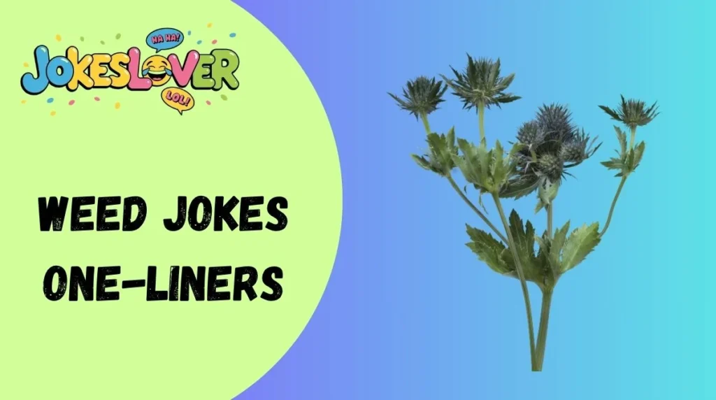 Weed Jokes One-Liners