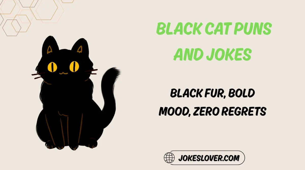 Black Cat Puns and Jokes