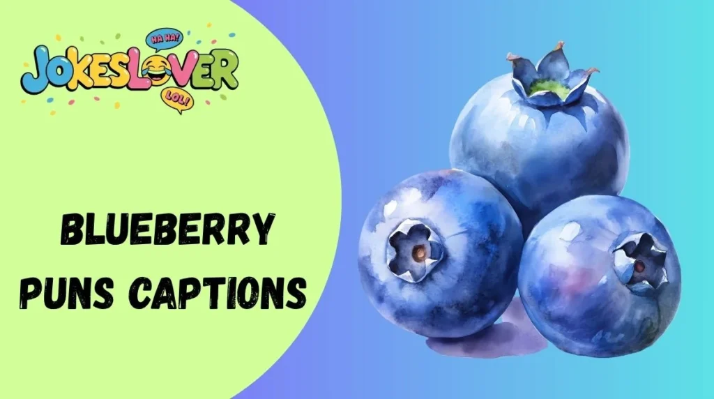 Blueberry Puns Captions