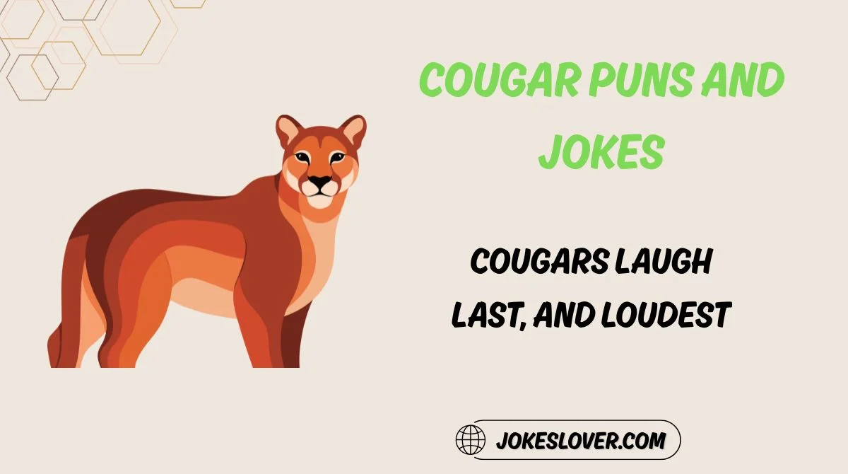 Cougar Puns and Jokes