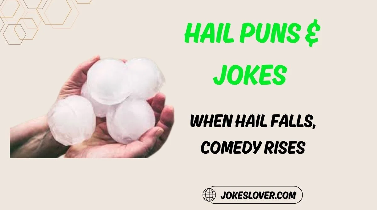 Hail Puns & Jokes