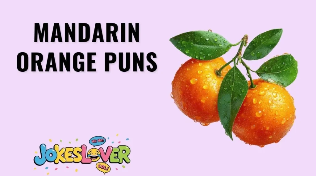 Mandarin Orange Puns