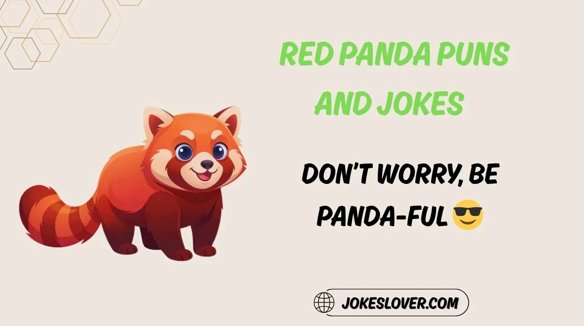 Red Panda Puns and Jokes