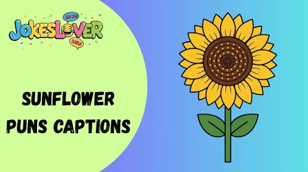 Sunflower Puns Captions