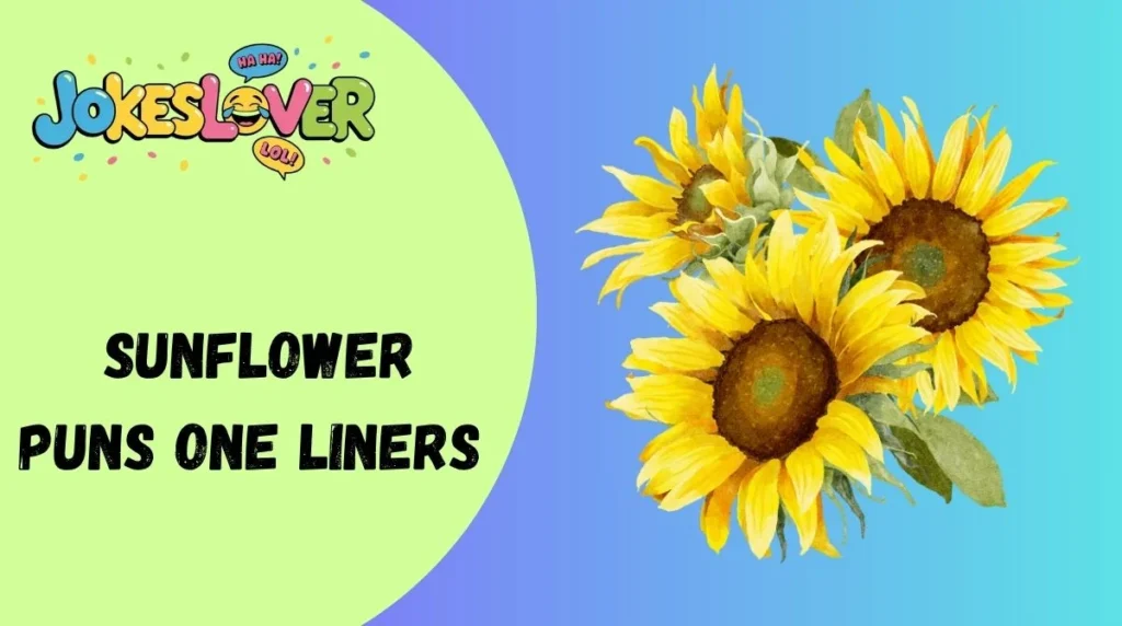 Sunflower Puns One Liners