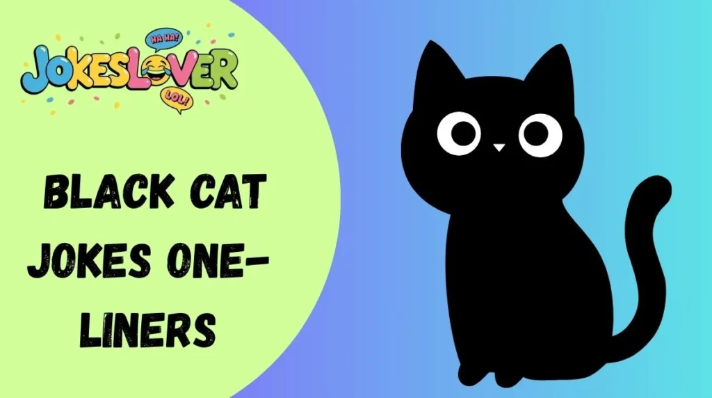  Black Cat Jokes One-Liners