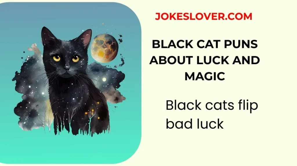 Black Cat Puns About Luck and Magic