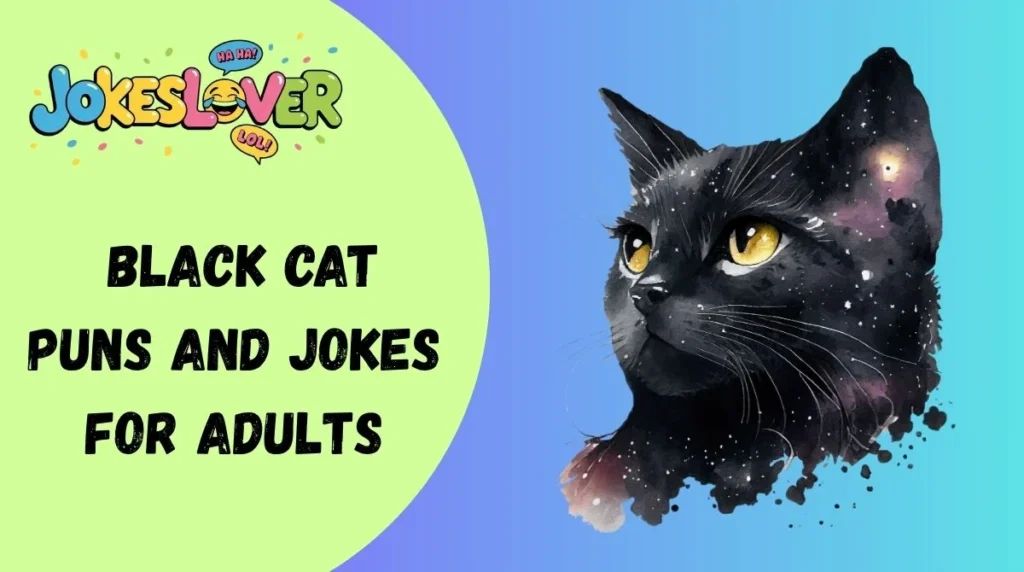  Black Cat Puns and Jokes for Adults