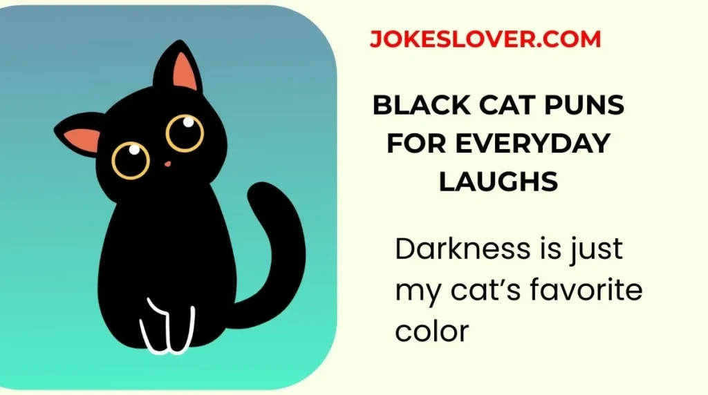 Black Cat Puns for Everyday Laughs
