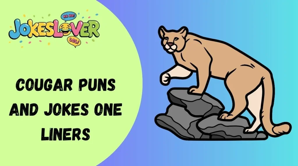 Cougar Puns and Jokes One Liners
